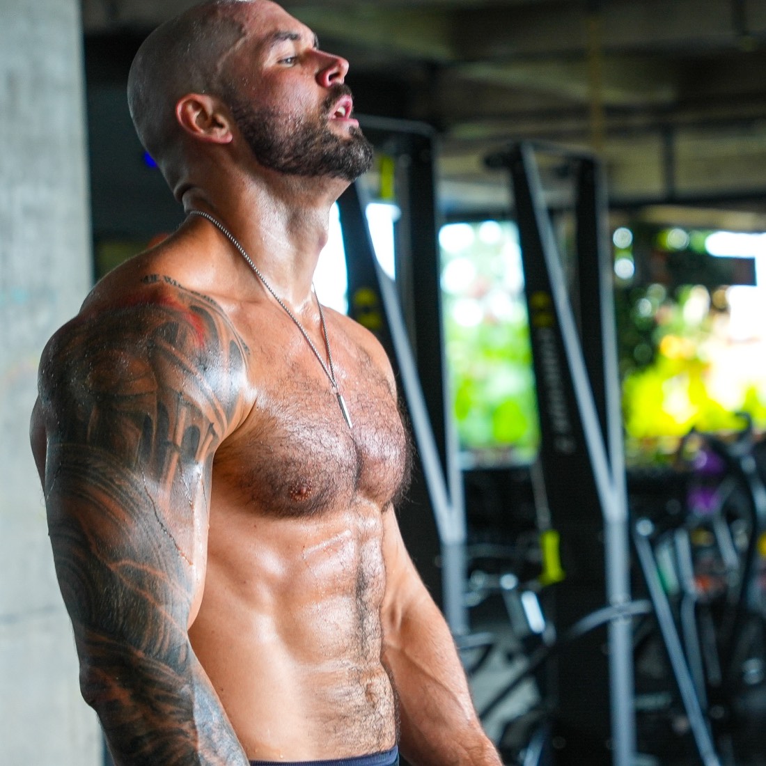 Dom training in the gym